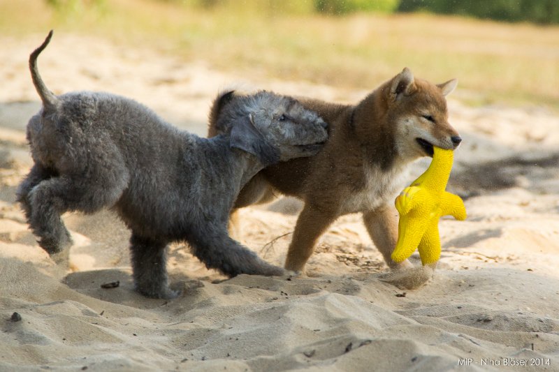 2014-07-17 Cherry & Friends-8267.jpg